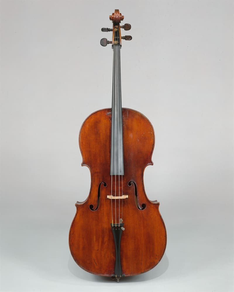 Full front view of a red-brown cello with f-holes, ebony tailpiece, fingerboard and pegs, and a metal endpin, standing upright against a plain grey studio background.