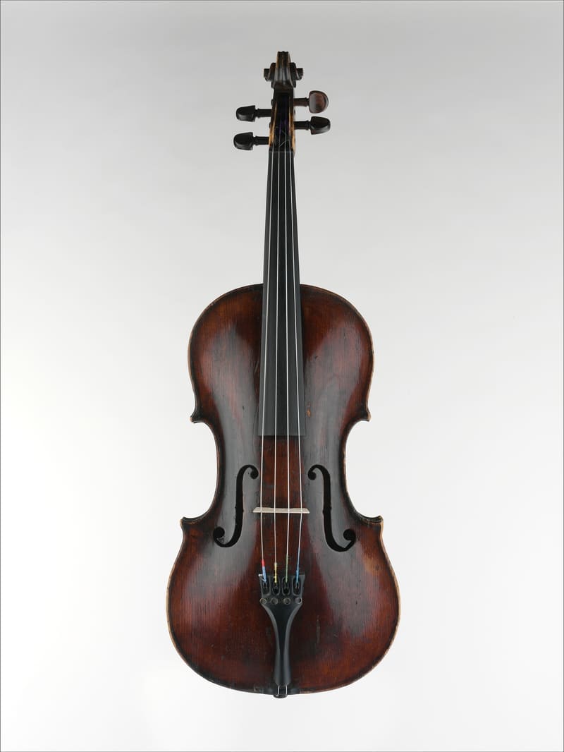 Front view of a dark reddish-brown viola with two f-holes, black tailpiece, fingerboard and pegs, and four strings, shown upright against a pale grey background.